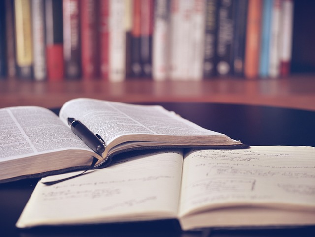 Máster; Clave para el Avance Profesional